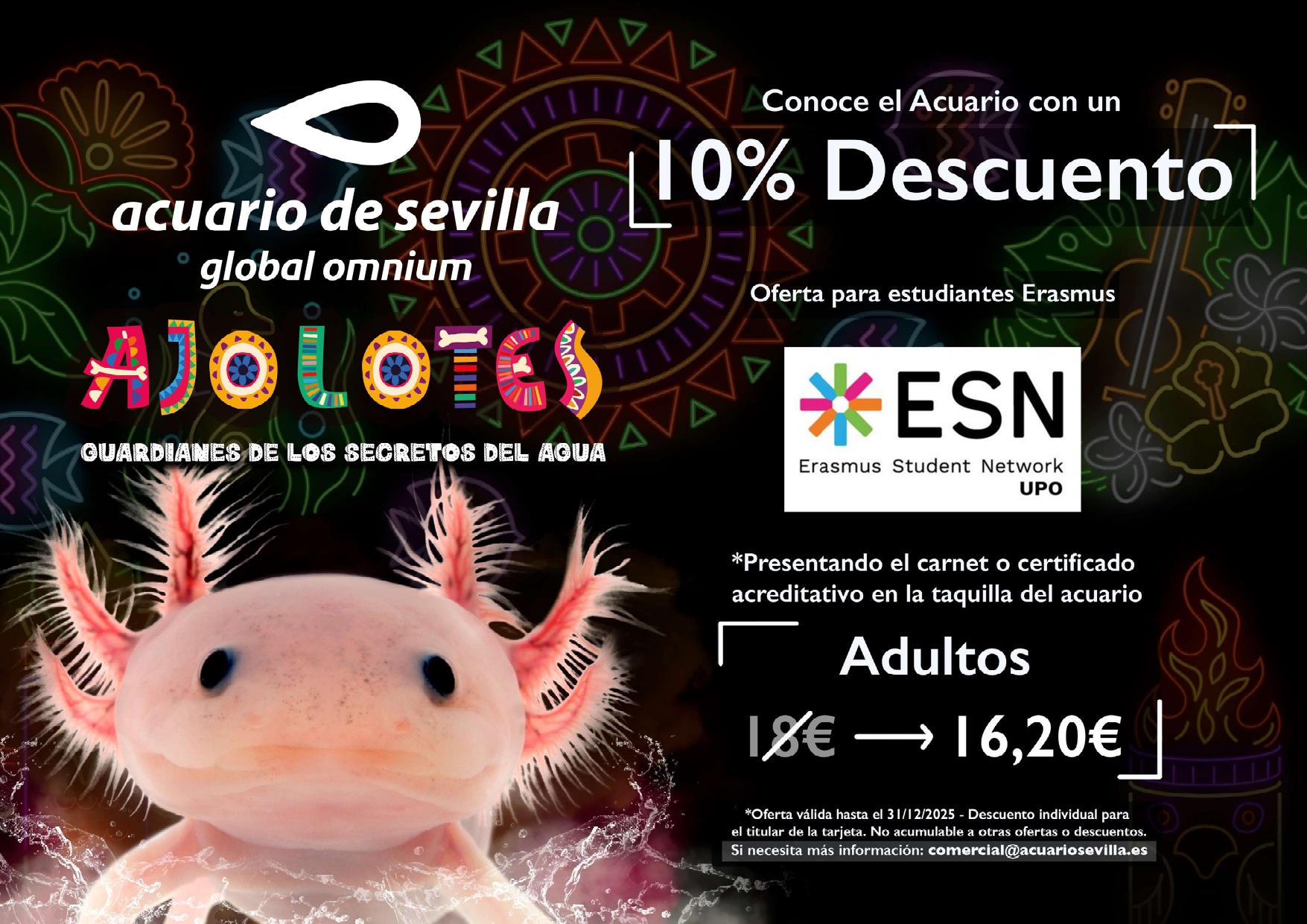 Foto Acuario